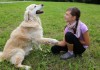 Ein Hund schüttelt einem jungen Mädchen die Hand - gelungene Hundeerziehung mit Kind!