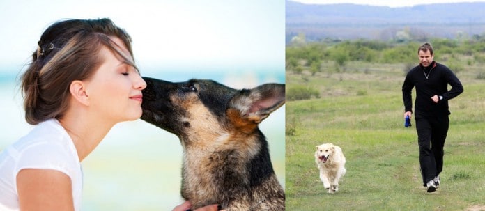 Männliche und weibliche Hundeerzehung - echter Unterschied oder Klischee?