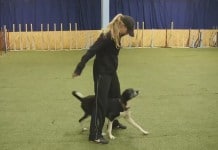Trainerin steht über ihrem Hund.