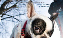 Ziemer & Falke: Fallbeispiele für Hundetrainer