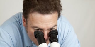 Ein Mann im Hemd schaut durch ein Mikroskop - nur so sind Milben für Menschen sichtbar.