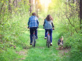 Ein junges Paar auf Radtour mit Hund - Rückenansicht bei Fahrt durch den Wald, Hund läuft neben den Rädern her.