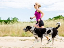 Sommerfitness mit Hund: Eine Läuferin mit pinkfarbenem Top läuft mir ihrem Hund an einem Feld mit hohem trocken-gelben Gras vorbei.