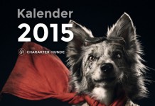 Titelbild Charakter-Hunde-Kalender 2015
