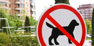 Vermieter verbietet Hund