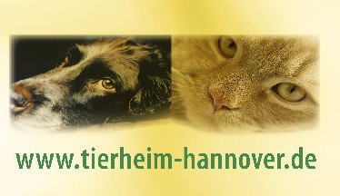 Tierheim Hannover: Logo/Banner