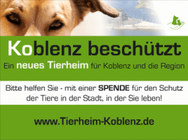Tierheim Koblenz: Logo
