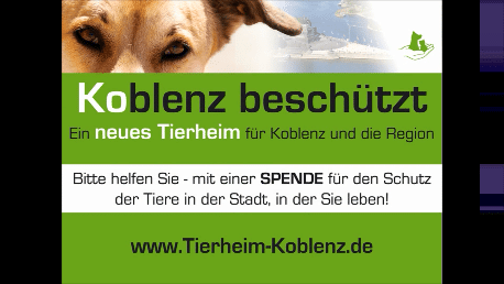 Www Tierheim Koblenz
