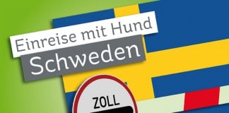 Einreisebestimmungen für Hunde: Schweden