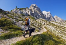 Eine junge Frau geht mit ihrem Hund einen Bergpfad aufwärts, steinige Gipfel im Hintergrund, rechts Abhang mit Gras.