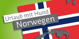 Urlaub mit Hund in Norwegen - norwegische Flagge und Silhouette Norwegens