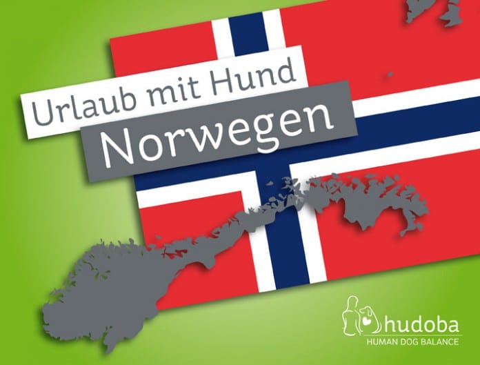 Urlaub mit Hund in Norwegen - norwegische Flagge und Silhouette Norwegens