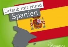 Urlaub mit Hund in Spanien - spanische Flagge und Silhouette Spaniens.