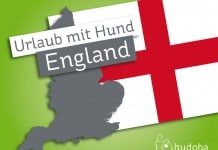 Urlaub mit Hund in England: Englische Flagge und Silhouette Englands