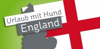 Urlaub mit Hund in England: Englische Flagge und Silhouette Englands