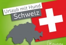 Urlaub mit Hund: Schweiz - Schweizer Flagge und Silhouette der Schweiz