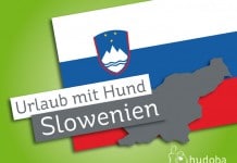 Urlaub mit Hund in Slowenien: Slowenische Flagge und Silhouette Sloweniens