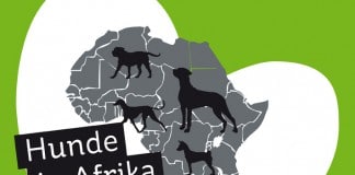 Hunde in Afrika