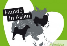 Hunde in Asien