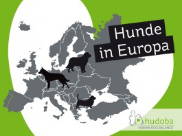 Hunde in Europa