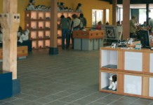 Hunde-Museum: Chiens et Musée du Saint Bernard